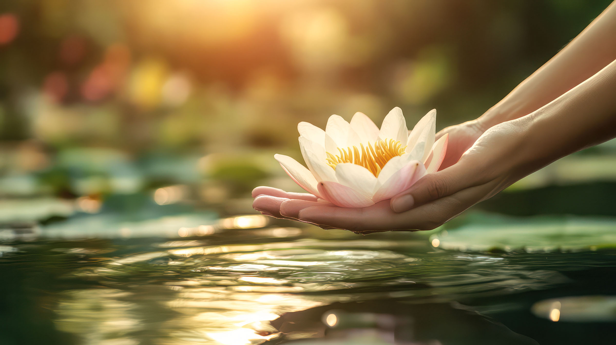 Japanese energy healing session focused on chakra alignment and emotional well-being through gentle touch.